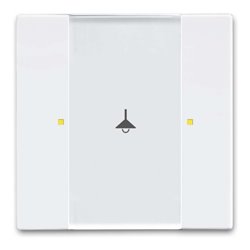 Busch-Jaeger Tastsensor 1/2fach Multifunktion 6125/02-84