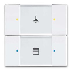 Busch-Jaeger Tastsensor 2/4fach Multifunktion 6126/02-84