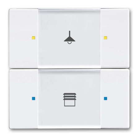 Busch-Jaeger Tastsensor 2/4fach Multifunktion 6126/02-84