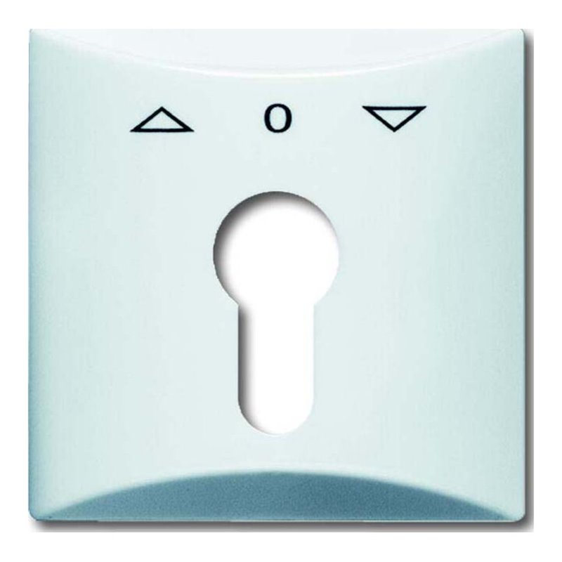 Busch-Jaeger Zentralscheibe alpinws f.Profilhalbzylinder 2155 PZ-34