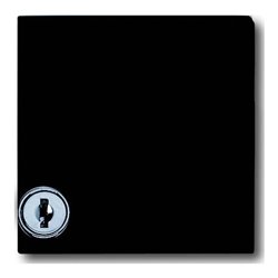 Busch-Jaeger Zwischenring anth mit Klappdeckel 2118 GKSL-35