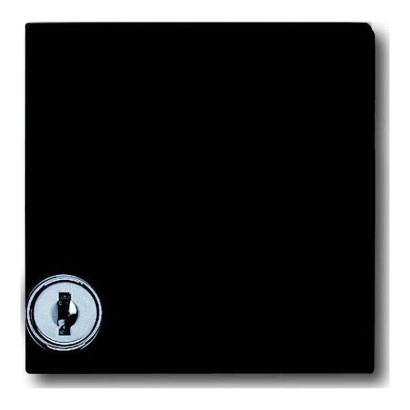 Busch-Jaeger Zwischenring anth mit Klappdeckel 2118 GKSL-35