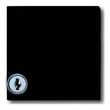 Busch-Jaeger Zwischenring anth mit Klappdeckel 2118 GKSL-35