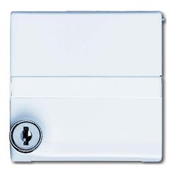 Busch-Jaeger Zwischenring aws abschließbar 2118 GKSLN-34