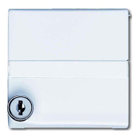 Busch-Jaeger Zwischenring aws abschließbar 2118 GKSLN-34