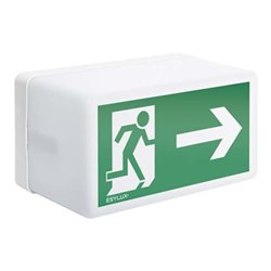 ESYLUX Notleuchte 21m EKW 2,5W SLB EL LED 3h 21mSM