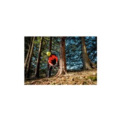 Metabo Akku-Kettensäge MS 36-18 LTX BL 40 Karton