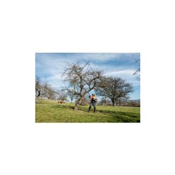 Metabo Hochentaster-Aufsatz MA-MS 25 Karton