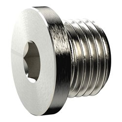 Riegler Verschlussschraube, Innensechskant und Bund, G 2, MS vern.