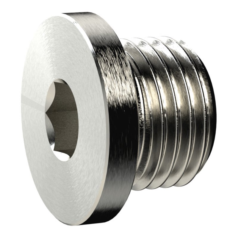 Riegler Verschlussschraube, Innensechskant und Bund, G 2, MS vern.