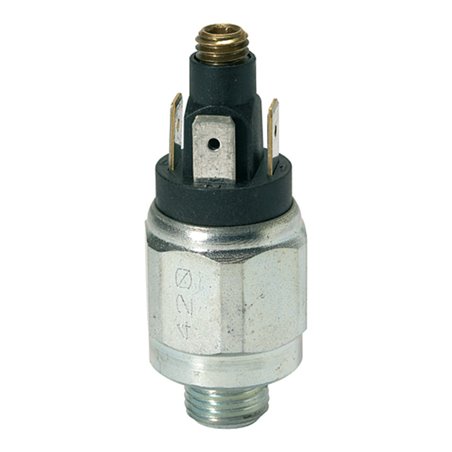 Riegler Druckschalter, Wechselkontakt, Stahl ver., 42 V, G 1/4, 1-10 bar