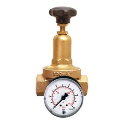 Riegler Druckregler DRV 200, Standardausführung, G 1 1/4, 1,5 - 8 bar