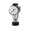 Riegler Druckregler »Standard«, inkl. Manometer, BG 1, G 3/8, 0,1 - 3 bar