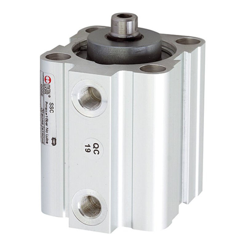 Riegler Kurzhubzylinder doppeltwirk., Magnet, Kolben-Ã˜ 80, Hub 100, G 1/4