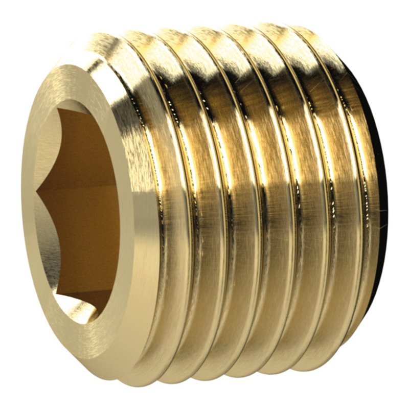 Riegler Verschlussschraube, Innensechskant, ohne Bund, G 2, SW 32, MS