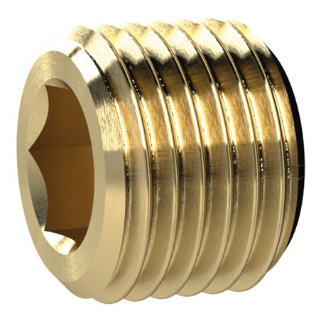 Riegler Verschlussschraube, Innensechskant, ohne Bund, G 2, SW 32, MS