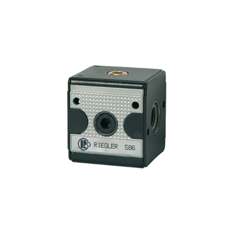 Riegler Rückschlagventil »multifix«, BG 3, G 3/4