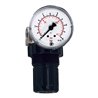 Riegler Druckregler für Wasser, inkl. Mano, G 1/4, 0,1-3 bar, PE max. 25