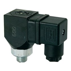 Riegler Druckschalter, Wechselkont. drehbar, Stahl ver., G 1/8, 1-10 bar