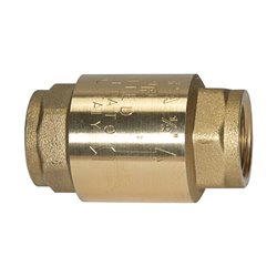 Riegler Rückschlagventil, voller Durchgang, MS, G 2 1/2, 0,01 - 0,03 bar