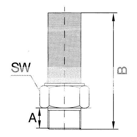 Riegler Schalldämpfer, Edelstahl 1.4401, G 3/4, SW 30