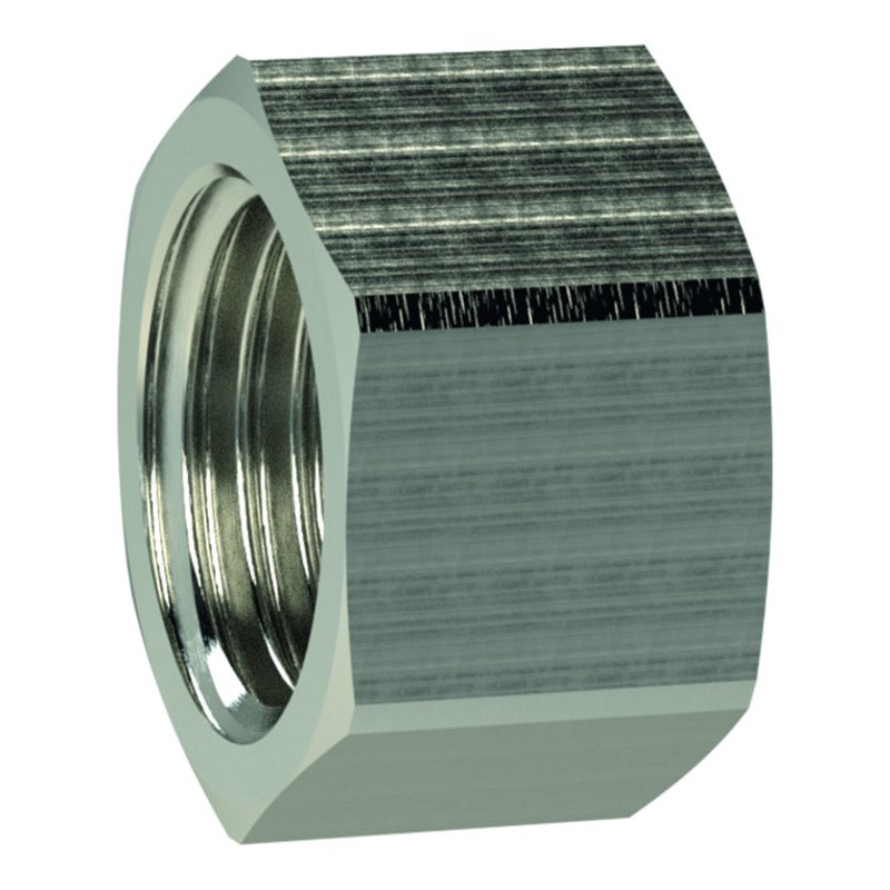 Riegler Verschlusskappe (Sechskant-Ausführung), G 2 1/2, SW 85, MS vern.