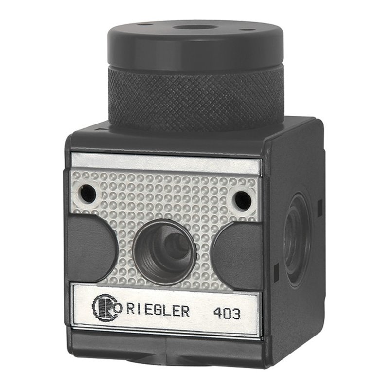 Riegler Druckregler pneumatisch ferngesteuert »multifix«, BG 3, G 1/2