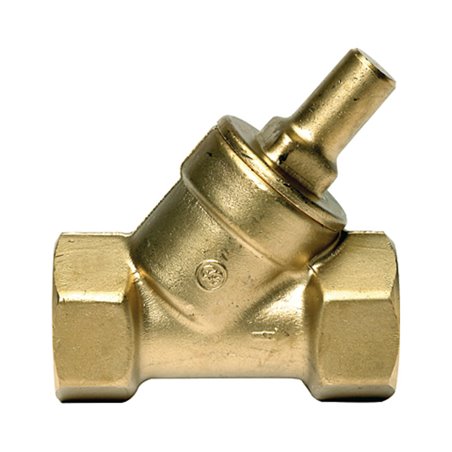 Riegler Rückschlagventil, Schrägsitzausführung, MS, Rp 1, 0,5 bar