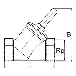 Riegler Rückschlagventil, Schrägsitzausführung, MS, Rp 1, 0,5 bar