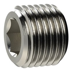 Riegler Verschlussschraube, Innensechskant, o. Bund, G 2, MS vern.