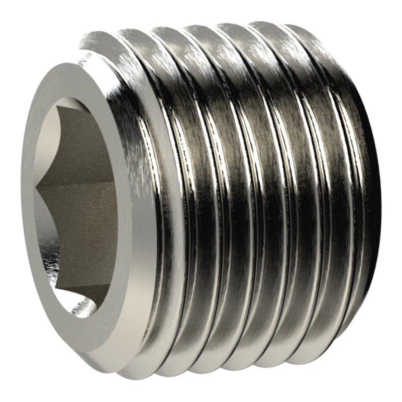 Riegler Verschlussschraube, Innensechskant, o. Bund, G 2, MS vern.