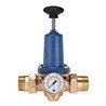 Riegler Druckregler für Trinkwasser, ohne DVGW, R 2, 1,5 - 6 bar