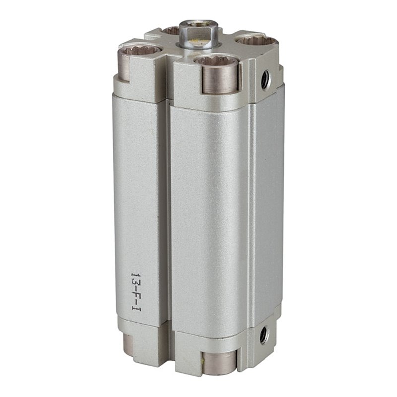 Riegler Kompaktzylinder »ACP« doppeltwirkend, Kolben-Ã˜ 63, Hub 20, G 1/8