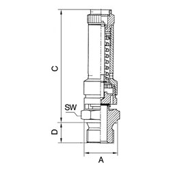 Riegler Sicherheitsventil DN 10, Messing, G 1/2, Ansprechdruck 12 bar