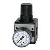 Riegler Präzisionsdruckregler »multifix«, BG 1, G 1/4, 0,5 - 10 bar