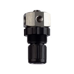 Riegler Edelstahl-Druckregler 1.4571, flüssige Medien, G 1/4, 0,1 - 2 bar