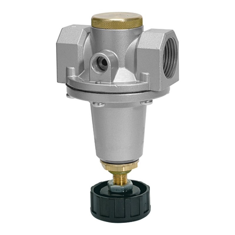 Riegler Druckregler Schalttafeleinbau »Standard«, BG 3, G 1, 0,1 - 3 bar