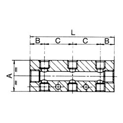 Riegler Verteilerleiste, Abgänge beidseitig, 2 x 1/2, 6 + 6 x 1/4, Alu