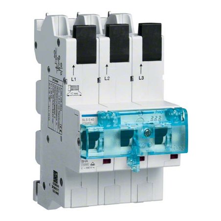 Hager SLS-Schalter 40A,3polig,E-Charak. HTS340E