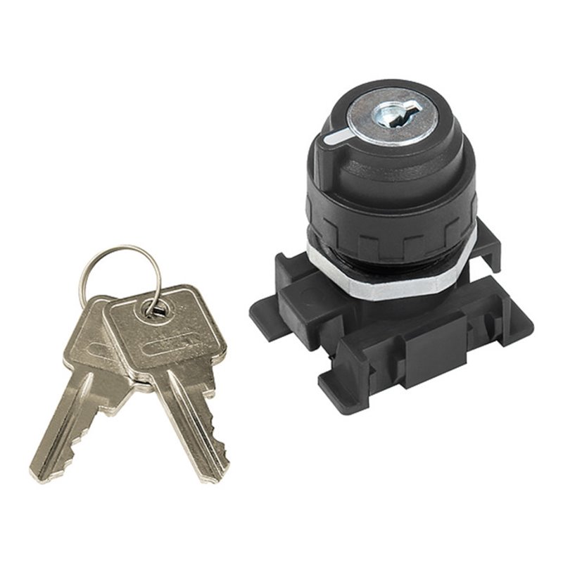 Riegler Verschließb. 2-Stellungsschalt., Schlüsselabzug in jeder Stellung