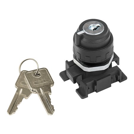 Riegler Verschließb. 2-Stellungsschalt., Schlüsselabzug in jeder Stellung