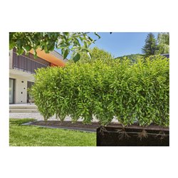 Gardena Micro-Drip-System Tropfbewässerung Set Hecke/Sträucher (50 m)