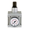 Riegler Druckregler »multifix«, inkl. Manometer, BG 5, G 1, 0,2 - 6 bar