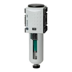 Riegler Mikrofilter »FUTURA«, PC-Behälter, Schutzkorb, BG 1, G 1/4, HA