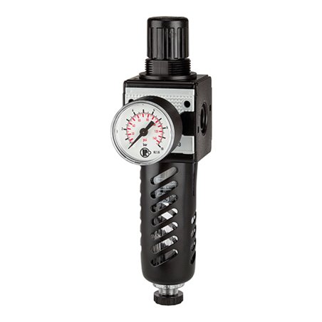 Riegler Filterregler »multifix«, mit PC-Behälter, Schutzkorb, BG 1, G 1/4