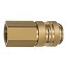 Riegler Schnellverschlusskupplung NW 19, Messing blank, G 3/4 IG