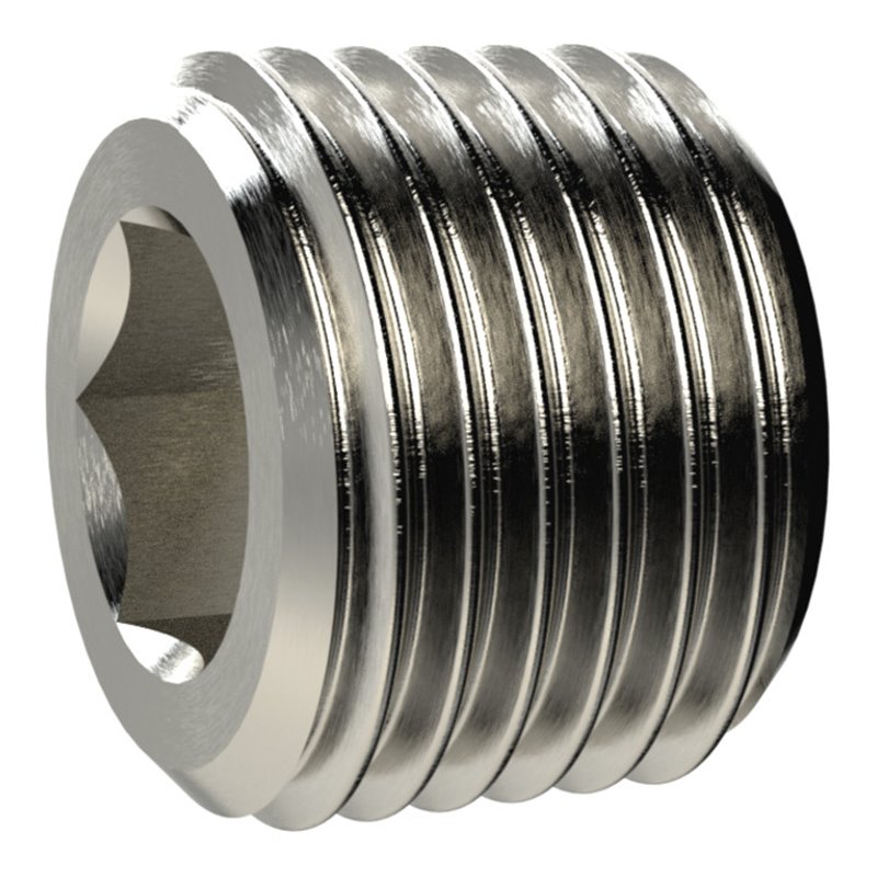 Riegler Verschlussschraube, Innensechskant, ohne Bund, R 2, MS vern.