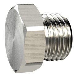 Riegler Verschlussschraube, Außensechskant, G 2, SW 70, MS vern.