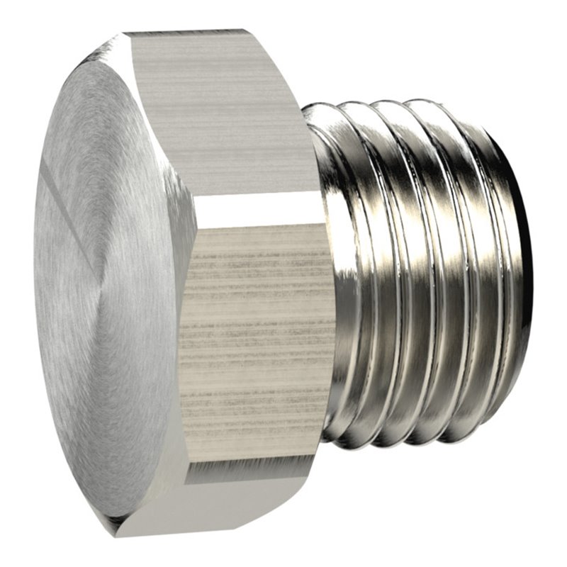 Riegler Verschlussschraube, Außensechskant, G 2, SW 70, MS vern.