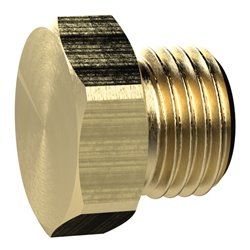 Riegler Verschlussschraube, Außensechskant, G 2, SW 70, MS